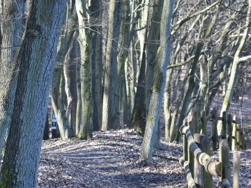 Czyszczenie budek lęgowych na terenie Parku Krajobrazowego Wzniesień Łódzkich, 